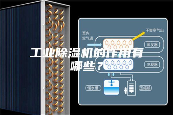 工業除濕機的作用有哪些？
