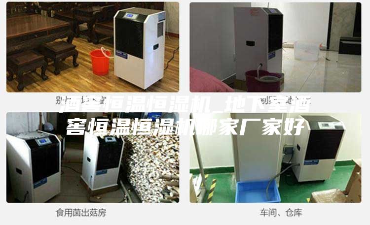 酒窖恒溫恒濕機_地下室酒窖恒溫恒濕機哪家廠家好