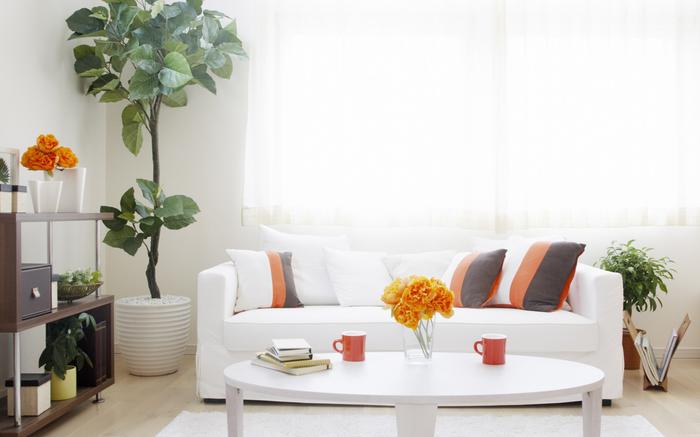 常開除濕機，不怕潮濕來