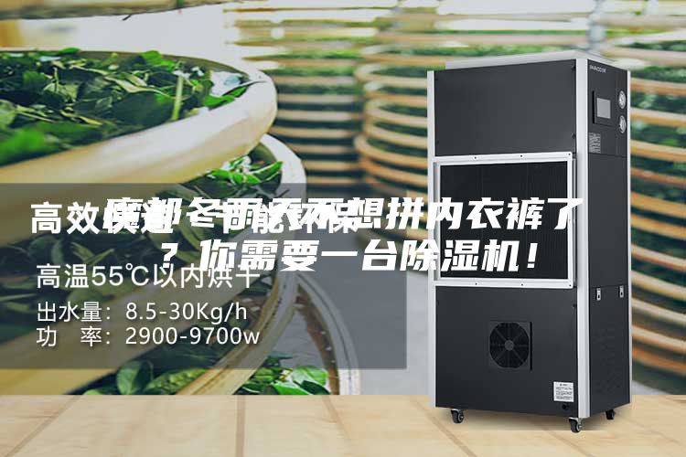 魔都冬雨天不想拼內(nèi)衣褲了？你需要一臺(tái)除濕機(jī)！