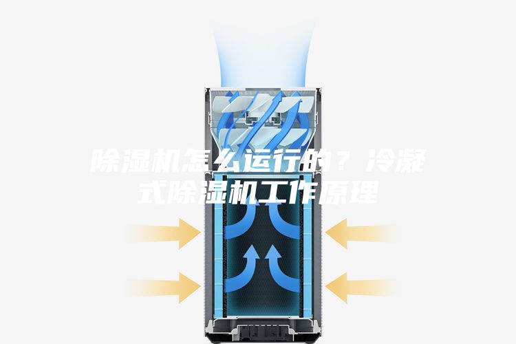 除濕機(jī)怎么運(yùn)行的？冷凝式除濕機(jī)工作原理