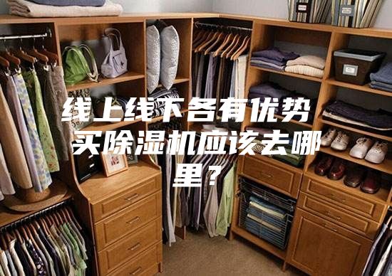 線上線下各有優(yōu)勢 買除濕機應該去哪里？
