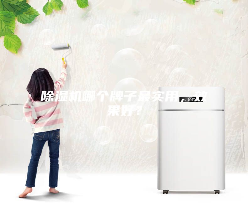 除濕機(jī)哪個(gè)牌子最實(shí)用，效果好？