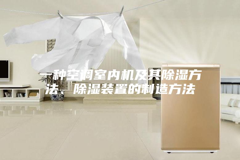 一種空調(diào)室內(nèi)機及其除濕方法、除濕裝置的制造方法