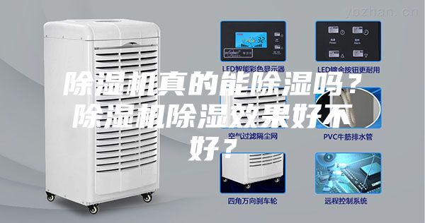 除濕機真的能除濕嗎？除濕機除濕效果好不好？