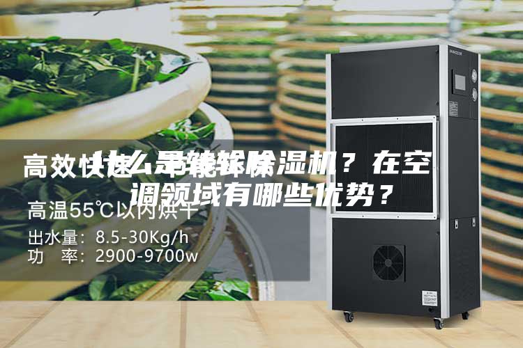 什么是轉(zhuǎn)輪除濕機(jī)？在空調(diào)領(lǐng)域有哪些優(yōu)勢？