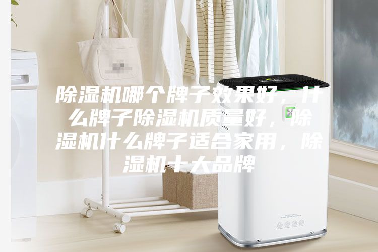 除濕機哪個牌子效果好，什么牌子除濕機質量好，除濕機什么牌子適合家用，除濕機十大品牌