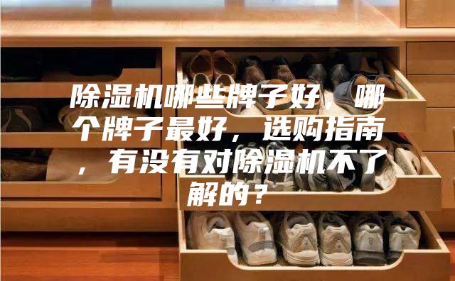 除濕機哪些牌子好，哪個牌子最好，選購指南，有沒有對除濕機不了解的？