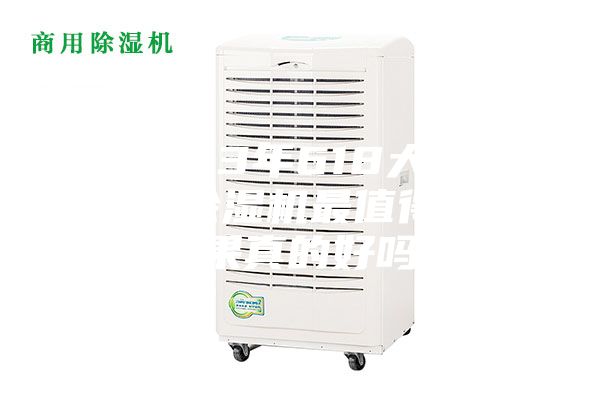 2023年618大促，哪款除濕機最值得買？效果真的好嗎？