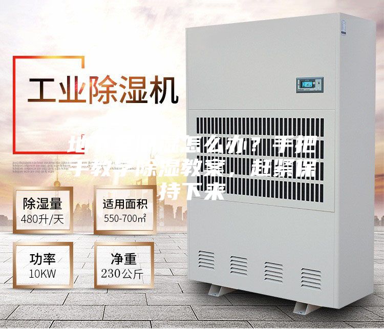 地下室潮濕怎么辦？手把手教學(xué)除濕教案，趕緊保持下來(lái)