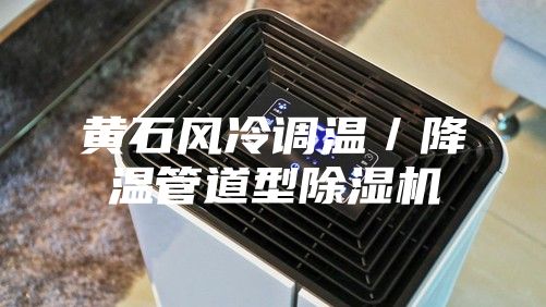 黃石風冷調溫／降溫管道型除濕機