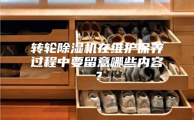 轉輪除濕機在維護保養過程中要留意哪些內容？