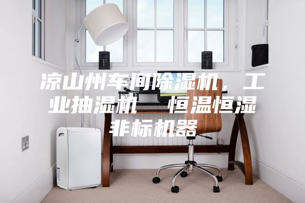 涼山州車間除濕機，工業抽濕機  恒溫恒濕非標機器