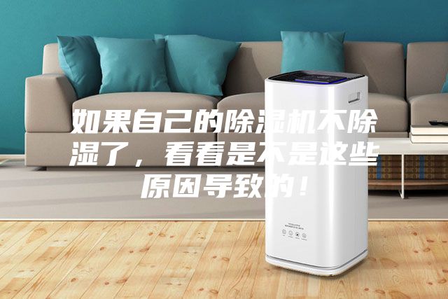 如果自己的除濕機不除濕了，看看是不是這些原因?qū)е碌模?></div>
								<div   id=