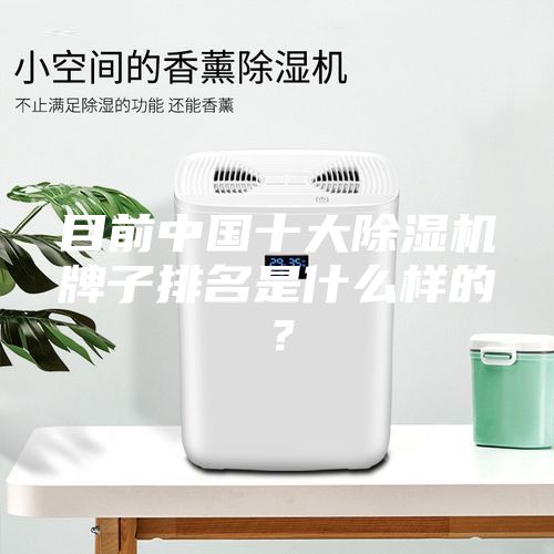 目前中國(guó)十大除濕機(jī)牌子排名是什么樣的？