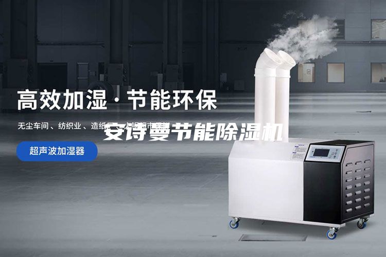 安詩曼節(jié)能除濕機