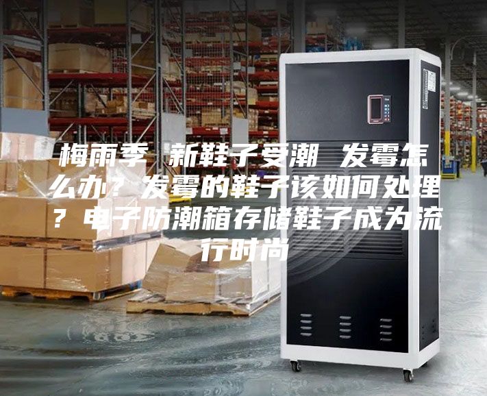 梅雨季 新鞋子受潮 發霉怎么辦？發霉的鞋子該如何處理？電子防潮箱存儲鞋子成為流行時尚