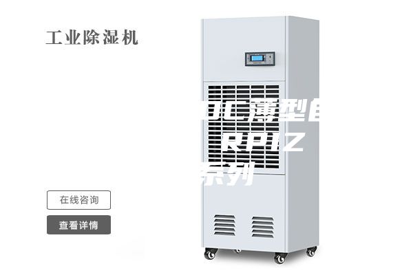 天花板內(nèi)置DC薄型自動除濕風(fēng)管機 RPIZ（D）系列