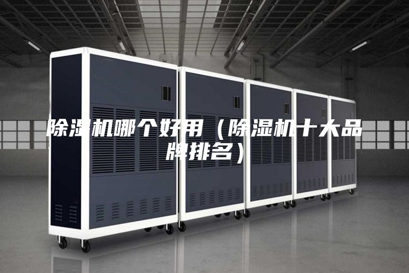 除濕機(jī)哪個(gè)好用（除濕機(jī)十大品牌排名）