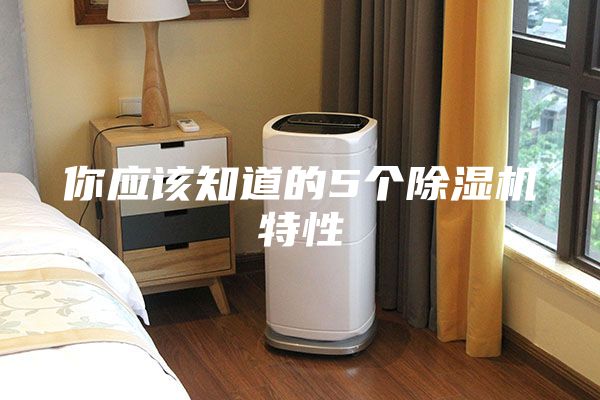 你應(yīng)該知道的5個除濕機(jī)特性
