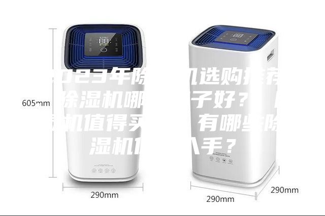 2023年除濕機選購推薦：除濕機哪個牌子好？ 除濕機值得買嗎？有哪些除濕機值得入手？