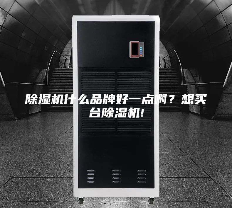 除濕機(jī)什么品牌好一點(diǎn)啊？想買臺除濕機(jī)!