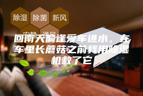 回南天偏逢愛(ài)車進(jìn)水，在車?yán)镩L(zhǎng)蘑菇之前我用除濕機(jī)救了它