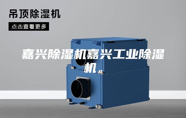 嘉興除濕機嘉興工業(yè)除濕機。