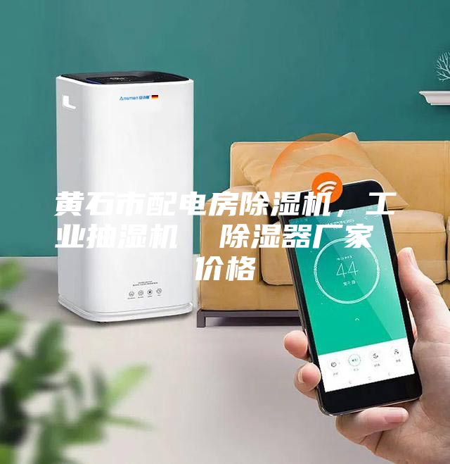 黃石市配電房除濕機，工業抽濕機  除濕器廠家 價格