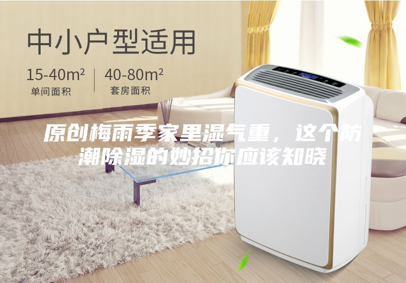 原創梅雨季家里濕氣重，這個防潮除濕的妙招你應該知曉