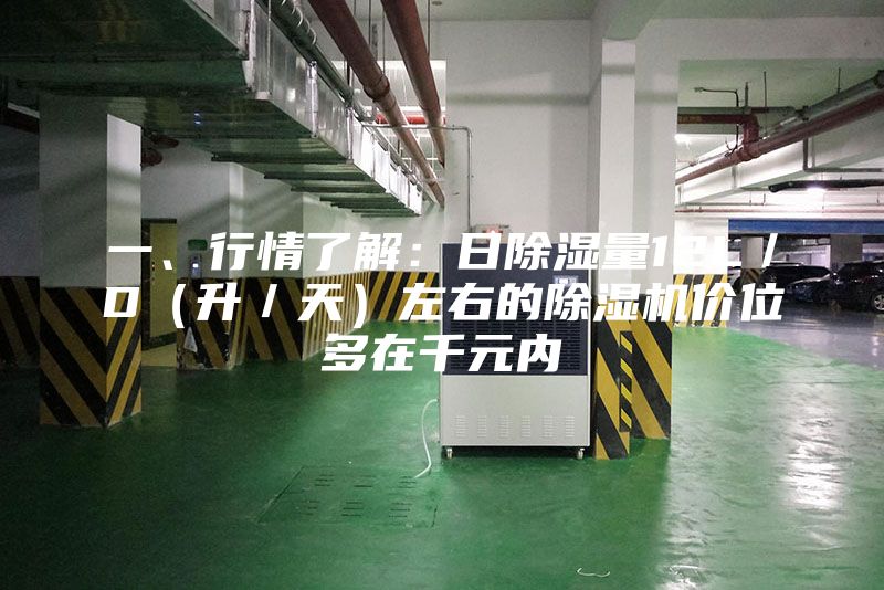 一、行情了解：日除濕量12L／D（升／天）左右的除濕機價位多在千元內