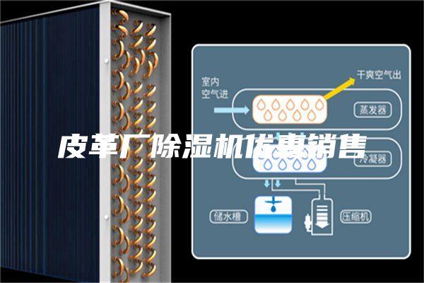 皮革廠除濕機(jī)優(yōu)惠銷售