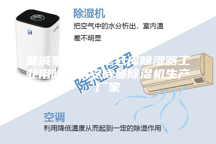 鹽城家用地下室倉庫除濕器工業(yè)用除濕機安詩曼除濕機生產廠家