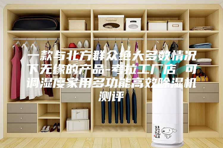 一款與北方群眾絕大多數情況下無緣的產品-考拉工廠店 可調濕度家用多功能高效除濕機測評
