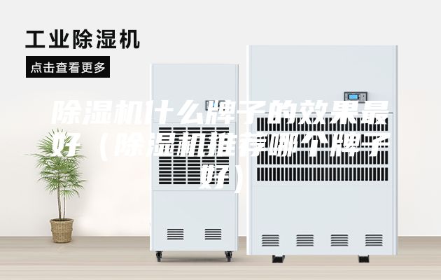 除濕機什么牌子的效果最好（除濕機推薦哪個牌子好）