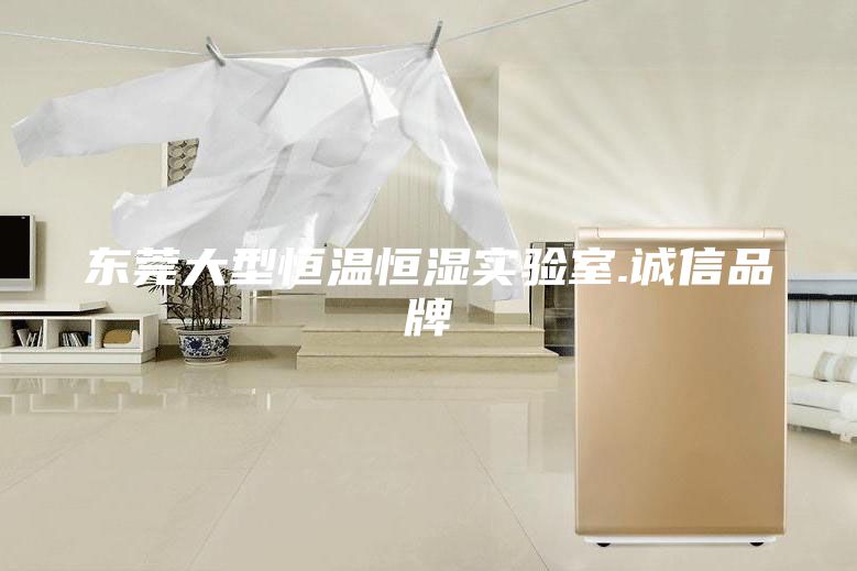 東莞大型恒溫恒濕實(shí)驗(yàn)室.誠(chéng)信品牌