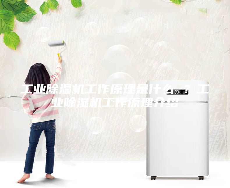 工業除濕機工作原理是什么 ？工業除濕機工作原理介紹