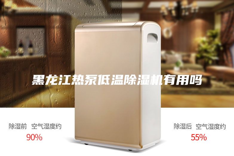 黑龍江熱泵低溫除濕機(jī)有用嗎