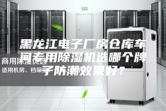 黑龍江電子廠房倉庫車間專用除濕機選哪個牌子防潮效果好？