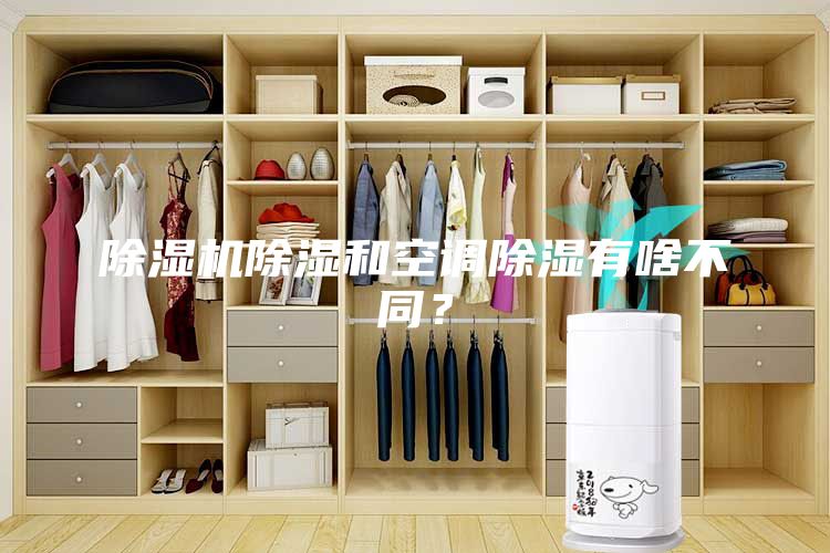 除濕機(jī)除濕和空調(diào)除濕有啥不同？