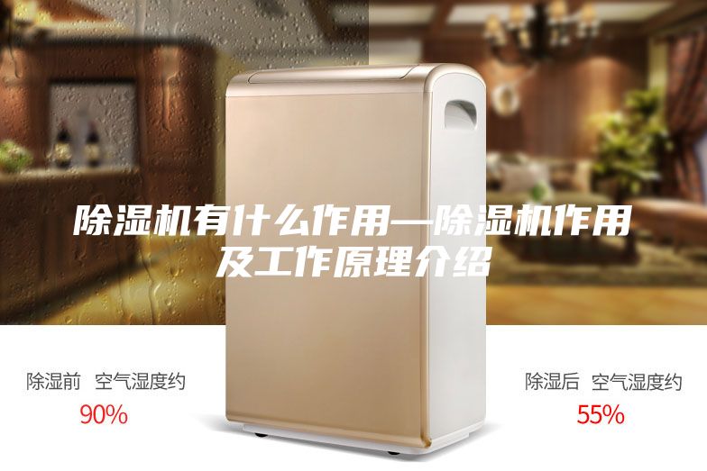 除濕機有什么作用—除濕機作用及工作原理介紹