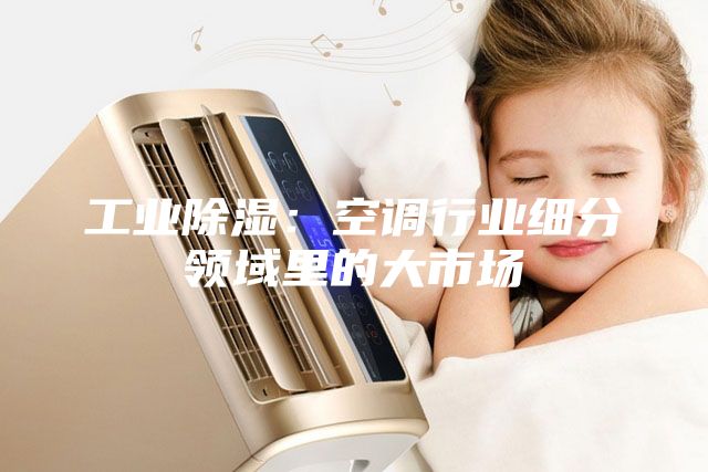工業(yè)除濕：空調(diào)行業(yè)細分領域里的大市場