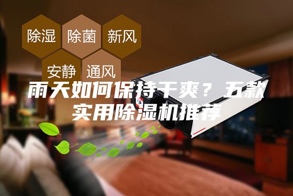 雨天如何保持干爽？五款實(shí)用除濕機(jī)推薦