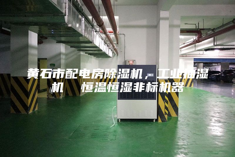 黃石市配電房除濕機，工業抽濕機  恒溫恒濕非標機器