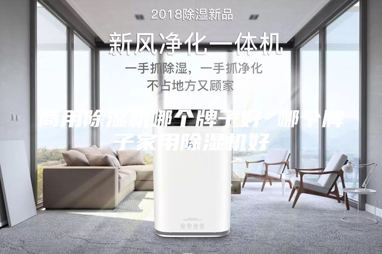 商用除濕機哪個牌子好 哪個牌子家用除濕機好