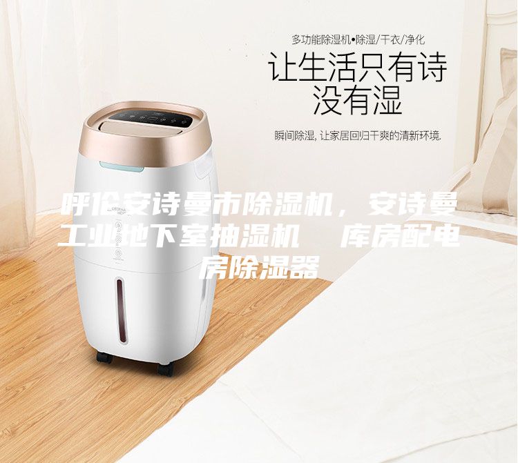 呼倫安詩(shī)曼市除濕機(jī)，安詩(shī)曼工業(yè)地下室抽濕機(jī)  庫(kù)房配電房除濕器