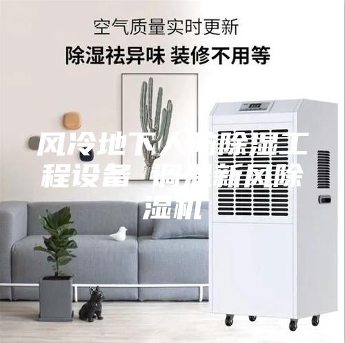 風冷地下人防除濕工程設(shè)備 調(diào)溫新風除濕機