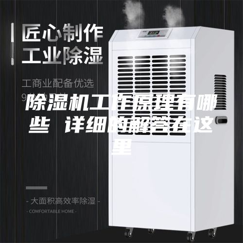 除濕機工作原理有哪些 詳細的解答在這里