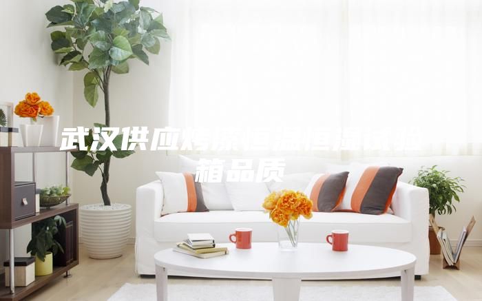 武漢供應烤漆恒溫恒濕試驗箱品質