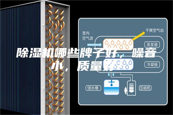 除濕機(jī)哪些牌子好，噪音小，質(zhì)量好？